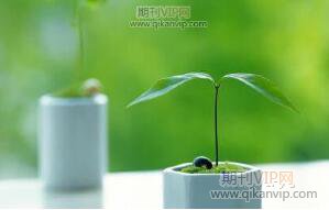 水稻種植論文