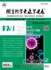 微生物教學論文
